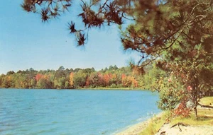 Am Ufer entlang, 1951 --PAK - Bild 1 von 2