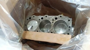 MOTOR YANMAR 3TN66 BLOQUE CILINDRO MONTAJE THERMO KING - Imagen 1 de 6