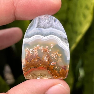 34.70 Ct Scenic Ternate Moss Agate Orbicular 32x24x4mm High Quality Moss Agate - Picture 1 of 5