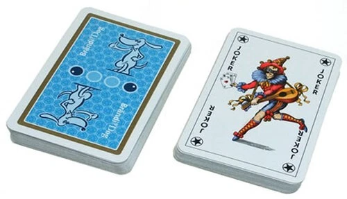 Spiel Brändi Dog - Premium Kartenset (55 Karten) (Blackbox Internet GmbH) NEU