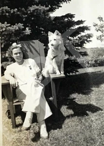 1940s STRIKING WHITE FLUFFY DOG PERCHED ON CHAIR YOUNG WOMAN SUNNY DAY Vtg Photo - Picture 1 of 4
