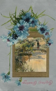 1909 blaue Kornblume Blumen malerische Vintage Weihnachts Postkarte  - Bild 1 von 2