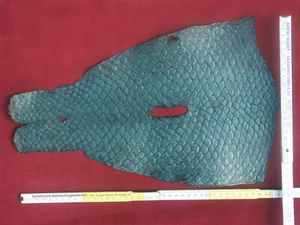 Fischleder Karpfenleder Lederhaut Echtleder grün - Bild 1 von 1