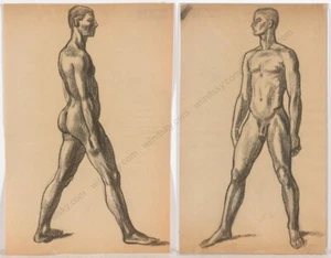 Ferdinand Opitz (1885-1956) "Männliche Akte", zwei große Zeichnungen, 20er Jahre (1) - Bild 1 von 16