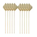 Boho Dried Palm Spears Small Natural Dried Palm Fans Leaves Decor Z3w5