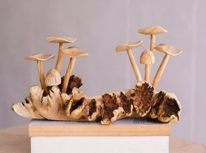 Einzigartige Pilzskulptur, Wald, Pilzkunst, Einweihung, Großvater Geschenk - Bild 1 von 6