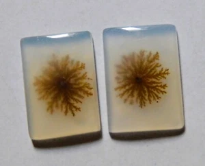 Coppia di pietre preziose cabochon agata dendritica naturale Shazar 14X10MM 7,35 Cts - Foto 1 di 3