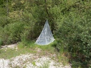 Brettschneider Expedition Pyramid Moskitonetz, imprägniert, Single - Bild 1 von 1