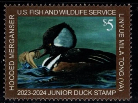 #JDS31 2023 Junior Duck Wood Duck - MNH Cover