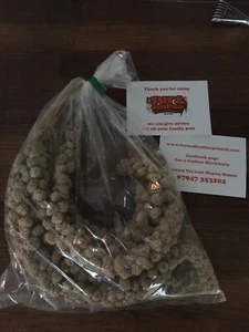14 Quality Millet Spray Budgies Finches Canaries Parakeet Bird rats Aprox 600g - Picture 1 of 2