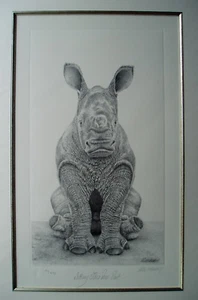 Peter Hildick - Sitting This One Out - Baby Rhino - Mtd Print Ltd Edit No 15/495 - Picture 1 of 10