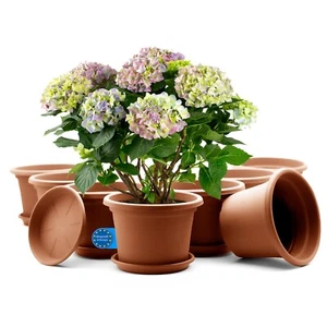8 Stück Blumentopf mit Untersetzer Pflanzkübel rund ø 20cm Terracotta Made in EU - Bild 1 von 7