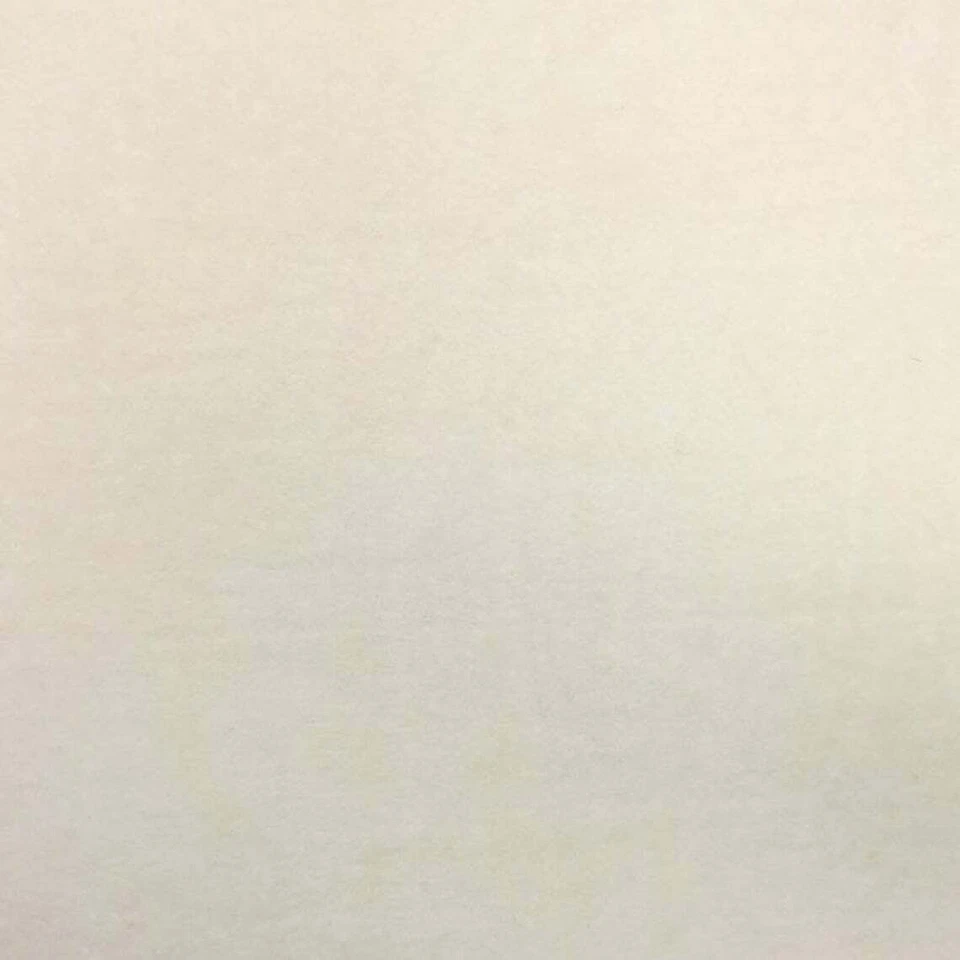 Minky  Ivory Solid Warm Cozy Fabric - By The Yard - Image 1 of 1