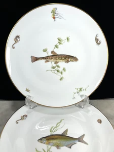 Richard Ginori Quenelle Smooth Fish Design Dinner Plates Set 2 - Picture 1 of 12