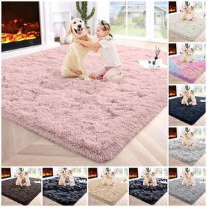 Fluffy Area Rugs Modern Shaggy Carpets for Living Room Fuzzy Soft Indoor Mat - Picture 1 of 47