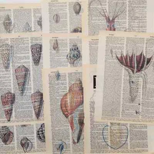 Seashells and Squids Dictionary Prints, Colorful Sea Prints, Book Page Prints - Picture 1 of 6