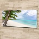 Wandbild aus Plexiglas Druck auf Acryl 125x50 Landschaften Tropischer Strand