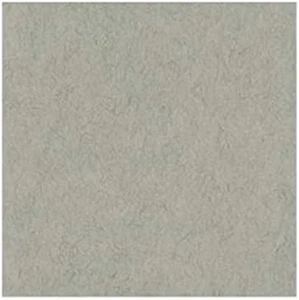 Strathmore 400 Series Toned Sketch Sheet, 80 lb. Paper, 19 X 24 inches, Gray - Picture 1 of 1