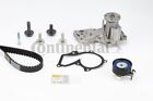 Water Pump & Timing Belt Set CONTINENTAL CTAM CT881WP2 for FORD,FORD AUSTRALIA,M Ford Ikon