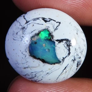 13.95 CT 17x19x6 mm Natural Mexican FIRE OPAL Oval Cabochon Loose Gemstone PK13 - Picture 1 of 3