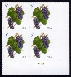 #5177 5c Grapes, Plate Block [P111111 LR] Mint **ANY 5=FREE SHIPPING** - Picture 1 of 1