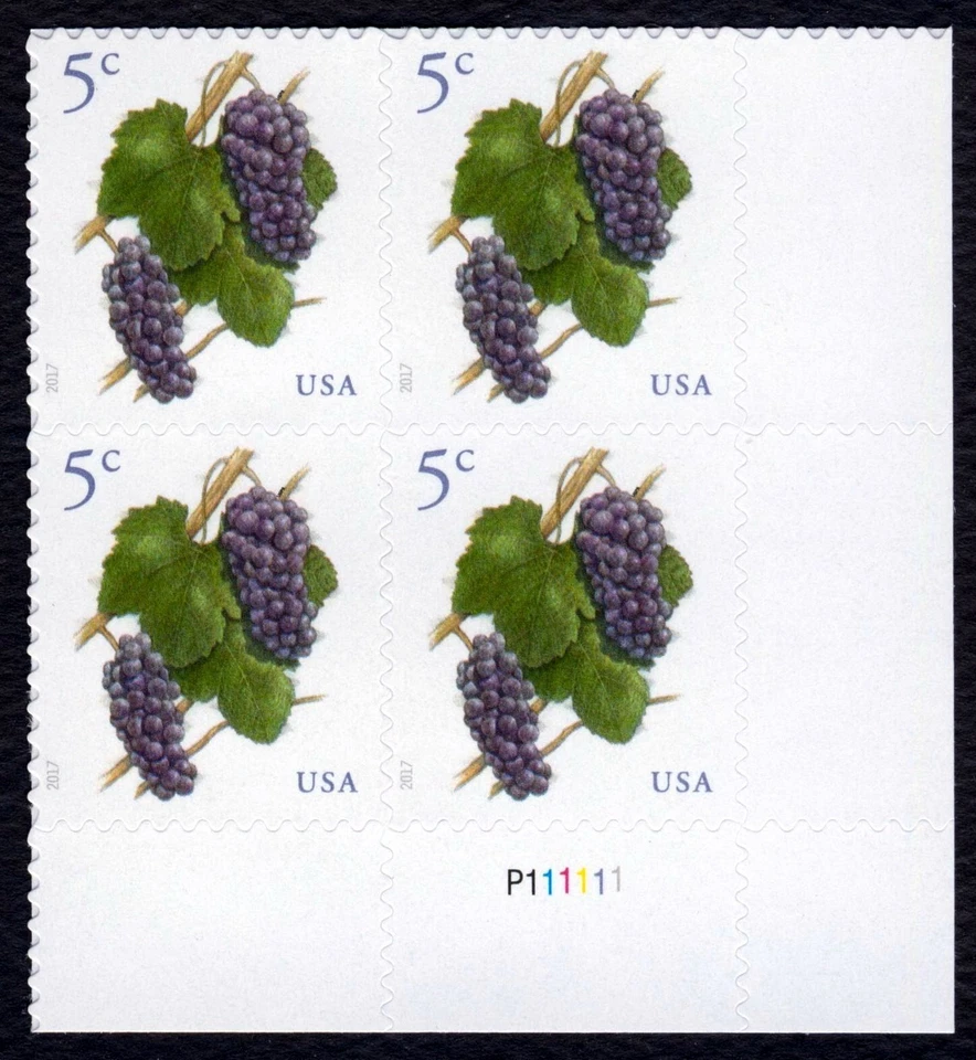 #5177 5c Grapes, Plate Block [P111111 LR] Mint **ANY 5=FREE SHIPPING** - Image 1 of 1