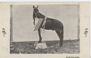 ANTIQUE POSTCARD "DON FULANO" SMART HORSE WITH PRINTED MESSAGE AMERICAN FLAG - Bild 1 von 2