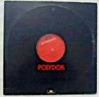 Ray Dahrouge: I Can See Him Makin' Love To You, Baby 1979 Goldisc Promo Press NM