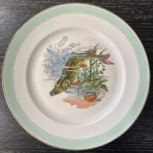 Plato de porcelana Limoges Francia con diseño de lucio pez FC, borde verde y dorado PO-VG++ - Imagen 1 de 9