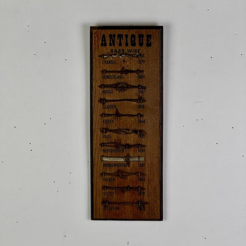 Foto 1 di 6