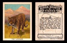 1923 Birds, Beasts, Fishes C1 Imperial Tobacco Vintage Trading Cards Singles