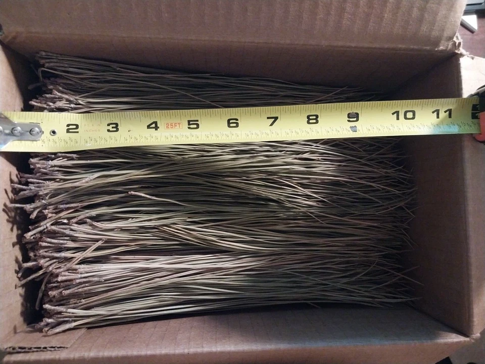 Florida  new  2 lbs. 12 oz. pine needles mix sizes, basket weaving, crafts - Image 1 of 1