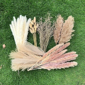 100Pcs Pampas Grass Boho Home Decor 17 Inch Natural Dried Flowers-Pampas Grass C - Picture 1 of 12