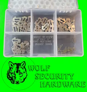 Custom Pin Tumbler Wafer Spring Kit GM 10 Cut Door Trunk Spare Tire #2 - Foto 1 di 2