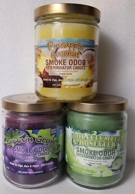 Smoke Odor Exterminator 13oz Jar Pineapple Coconut Assortment Set of (3) Candles - Image 1 of 4