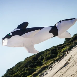 Calcetín de pez orca de 78 pulgadas de In The Breeze 5231 - Imagen 1 de 2