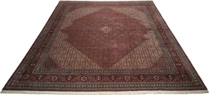 Sarab Teppich Rug Carpet Tapis Tapijt Tappeto Alfombra Orient Perser Übermaß XXL - Picture 1 of 1