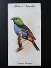 No.36 SUPERB TANAGER - Aviary and Cage Birds by John Player 1933