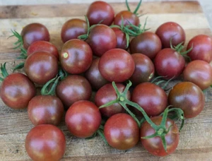 Black Cherry tomato seeds x 20 very sweet - Picture 1 of 2