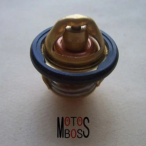 Orignal 32mm Thermostat CFMOTO 500 600 X5 X6 U5 U6 Z6 With CF188 196 Engine - Imagen 1 de 4