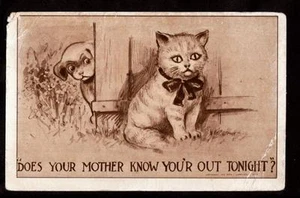 Postkarte Welpe & Kätzchen Comic Humor Katze 1910 - Bild 1 von 1