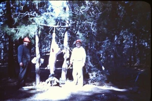Vintage 1946 35mm Red Border Kodachrome Slide 2 Men Deer Hunting - Picture 1 of 1