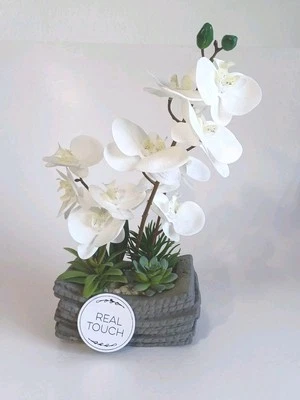 Real Touch горшок белая орхидея и кактус растения, белый камень, цемент горшок, новый - Изображение 1 из 4