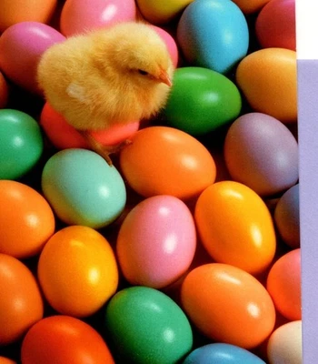 Tarjeta de felicitación Happy Easter Wishes amarillo pollito huevos de color púrpura sello Foto 1 de 3