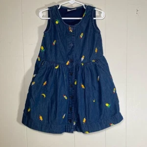 Hanna Andersson embroidered ice cream, banana pineapple dress size 4 - Picture 1 of 8