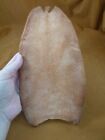 (EL1-6) 10" genuine natural color Tanned Beaver tail flexible for leather crafts