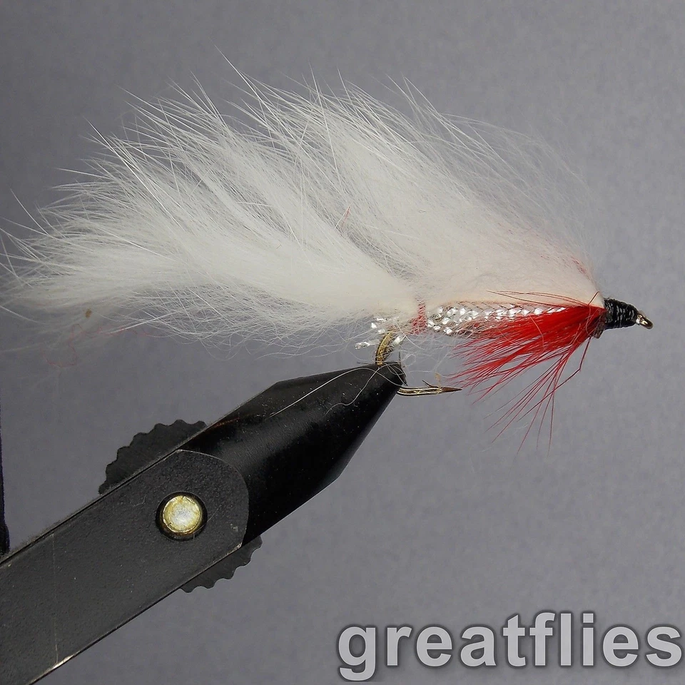 1 打 (12) - Zonker - 白色 — 第 1/1 张图片