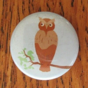 RBOT OWL Button Pin Flair 1" ganz - Bild 1 von 2