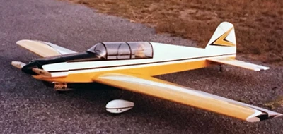 Kit Avión RC Escala Dalotel Fibra de Vidrio y Lámina de Espuma ARC De Colección Foto 1 de 4