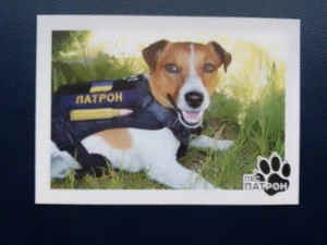 postcard Patron dog sapper from Chernihiv Ukraine 2022 special repayment - Picture 1 of 3
